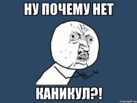 ну почему нет каникул?!