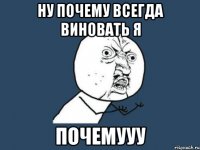 Ну почему всегда виновать я почемууу