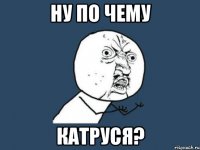 НУ ПО ЧЕМУ КАТРУСЯ?