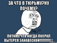 За что в тюрьму?Ну почему? Потому что когда Посрал вытерся занавеской!!!!!!!!!!!.!.