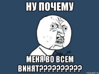 Ну почему Меня во всем винят??????????