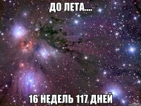 До лета.... 16 недель 117 дней