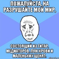 Пожалуйста, на разрушайте мой мир, состоящий из гитар, медиаторов, луж крови и маленьких щенят.