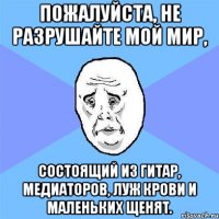 Пожалуйста, не разрушайте мой мир, состоящий из гитар, медиаторов, луж крови и маленьких щенят.