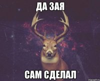 Да зая сам сделал