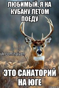 любимый, я на кубану летом поеду это санаторий на юге