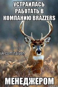 устраилась работать в компанию brazzers менеджером