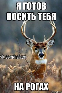 я готов носить тебя на рогах