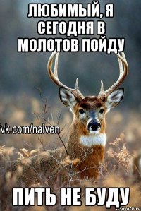 Любимый, я сегодня в молотов пойду пить не буду