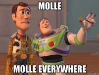 MOLLE MOLLE EVERYWHERE