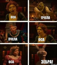 Оса Пчела Пчела Оса Оса Зебра!