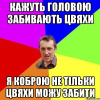 Кажуть головою забивають цвяхи я коброю не тільки цвяхи можу забити