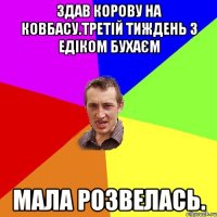 Здав корову на ковбасу.третій тиждень з едіком бухаєм Мала розвелась.