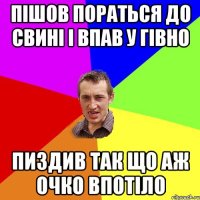 Пішов пораться до свині і впав у гівно пиздив так що аж очко впотіло