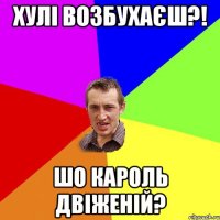 хулі возбухаєш?! шо кароль двіженій?