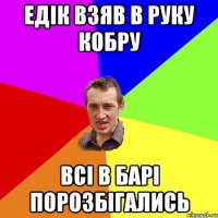 Едік взяв в руку кобру всі в барі порозбігались