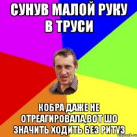 Сунув малой руку в труси кобра даже не отреагировала,вот шо значить ходить без ритуз