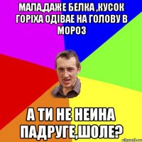 Мала,даже белка ,кусок горiха одiвае на голову в мороз А ти не неина падруге,шоле?