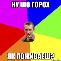 Ну шо горох Як поживаеш?