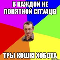 в каждой не понятной сітуацеі тры кошкі хобота