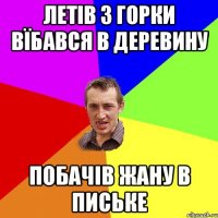 ЛЕТІВ З ГОРКИ ВЇБАВСЯ В ДЕРЕВИНУ ПОБАЧІВ ЖАНУ В ПИСЬКЕ