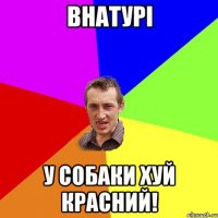 Внатурі у собаки хуй красний!