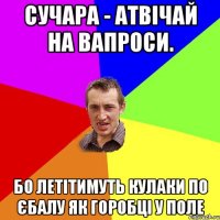 Сучара - атвічай на вапроси. Бо летітимуть кулаки по єбалу як горобці у поле