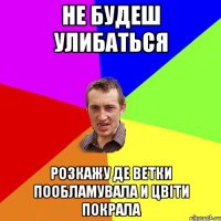 не будеш улибаться розкажу де ветки пообламувала и цвіти покрала