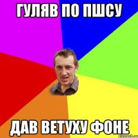 Гуляв по ПШСу Дав ветуху фоне