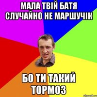 мала твій батя случайно не маршучік бо ти такий тормоз