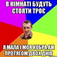 в кімнаті будуть стояти троє я мала і моя кобра аж протягом двох днів