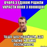 ВЧОРА З ЕДІКОМ РІШИЛИ УКРАСТИ КОНЯ З КОНЮШНІ ТА ШО, ШО? НЕДОЙШЛИ, ЕДІК СПАЛИВ, НА ГАМНІ ПОСЛИЗНУВСЯ