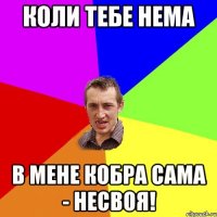 Коли тебе нема В мене кобра сама - несвоя!