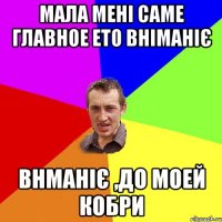 мала мені саме главное ето вніманіє внманіє ,до моей кобри