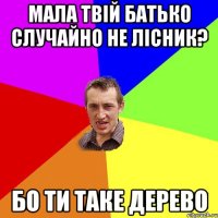 мала твій батько случайно не лісник? бо ти таке дерево