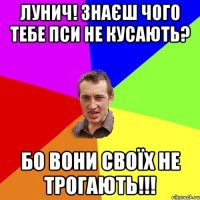 ЛУНИЧ! Знаєш чого тебе пси не кусають? Бо вони своїх не трогають!!!