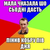 мала чказала шо сьодні дасть пінив кобру пів дня