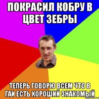 Покрасил кобру в цвет зебры теперь говорю всем что в ГАИ есть хороший знакомый