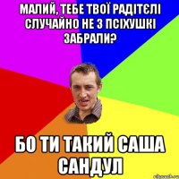 Малий, тебе твої радітєлі случайно не з псіхушкі забрали? бо ти такий саша сандул