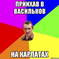 приихав в васильков на карпатах