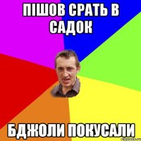 Пішов срать в садок Бджоли покусали