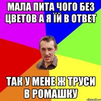 мала пита чого без цветов а я їй в ответ так у мене ж труси в ромашку