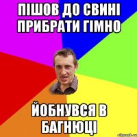 пішов до свині прибрати гімно йобнувся в багнюці