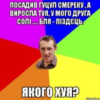 посадив гуцул смереку , а виросла туя, у мого друга солі .... бля - піздєць. Якого хуя?