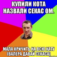 Купили кота назвали секас ом. Мала кричить на всю хату (Валера давай секаса)