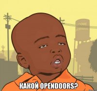  Какой opendoors?