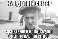 НУ І ДЕ ТВІЙ СВІТЕР З СЄВЕРНОГО ПОЛЮСА? ШО ОЛЕНЯМ ДАВ ПОГРІТИСЬ