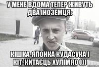 У мене вдома тепер живуть два іноземця: кішка-японка КуДасуКа і кіт-китаєць ХуЛіМяО )))