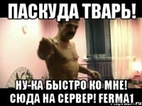 ПАСКУДА ТВАРЬ! НУ-КА БЫСТРО КО МНЕ! СЮДА НА СЕРВЕР! ferma1