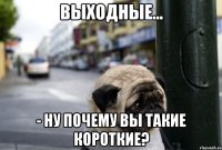 Выходные... - ну почему вы такие короткие?